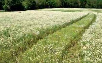 Эко баннер 3