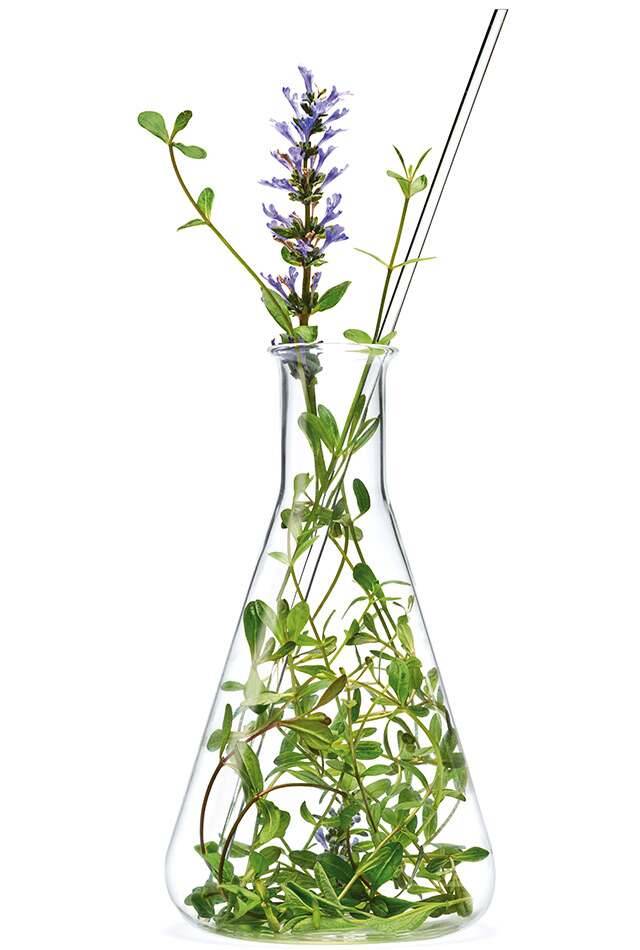 facecare-page-2022-Header-sc