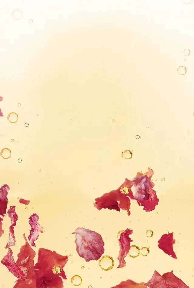 facecare-page-2022-Header-sc