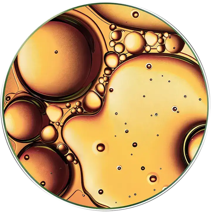 2025-haircare-nutrition-ingredient-desckription