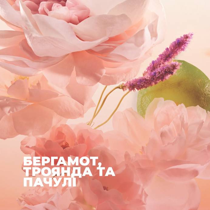 Парфюмированное молочко для тела Ком Юн Эвиданс