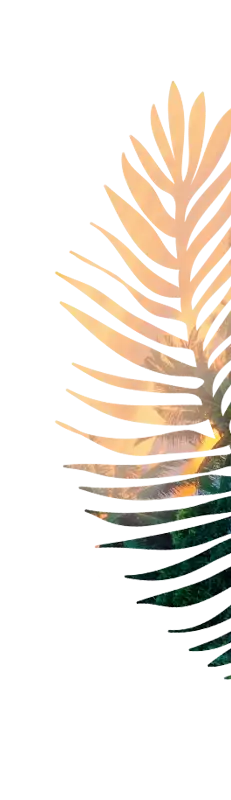 meadow flower background