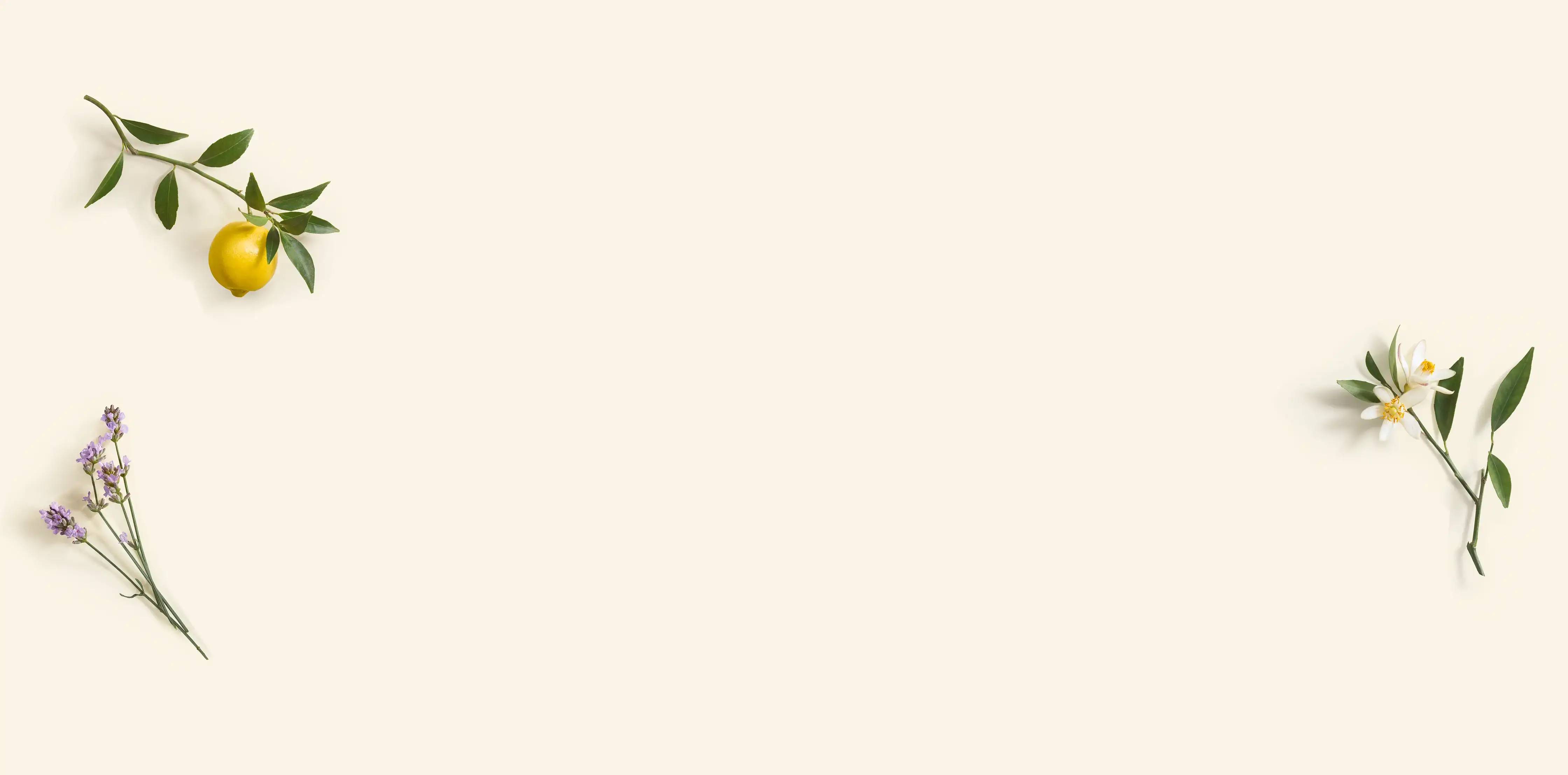 Nature Bath range by Yves Rocher