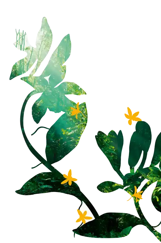 meadow flower background