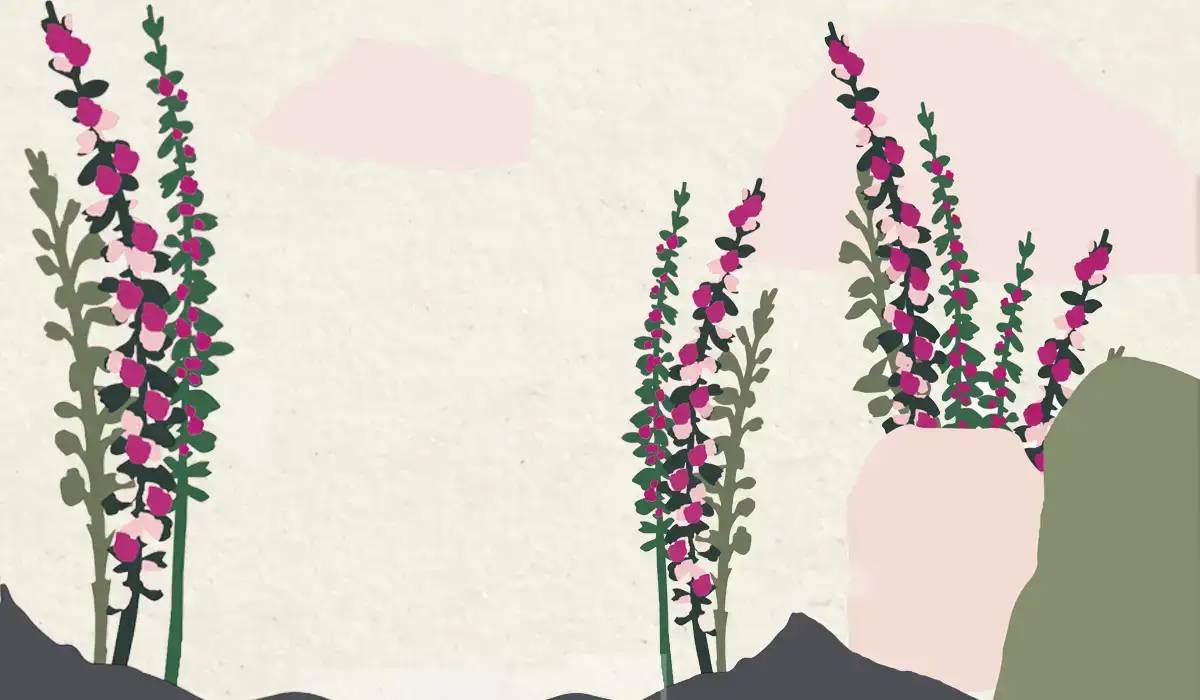 NY-collection-2023-page-products-block-2-products-image