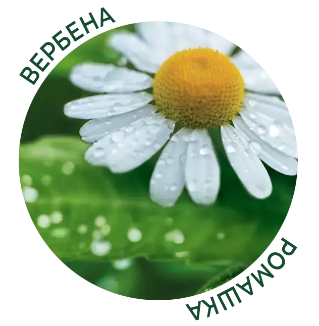 ромашка та вербена інгредієнт
