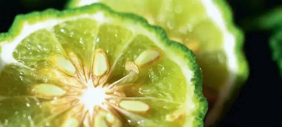 granit-blue-men-perfume-ingredient