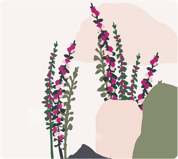 Global anti-aging range