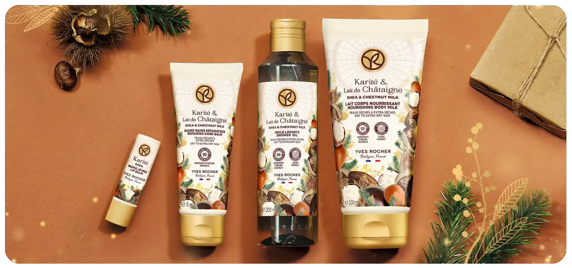 2024-osfa-SHEA-CHESTNUT