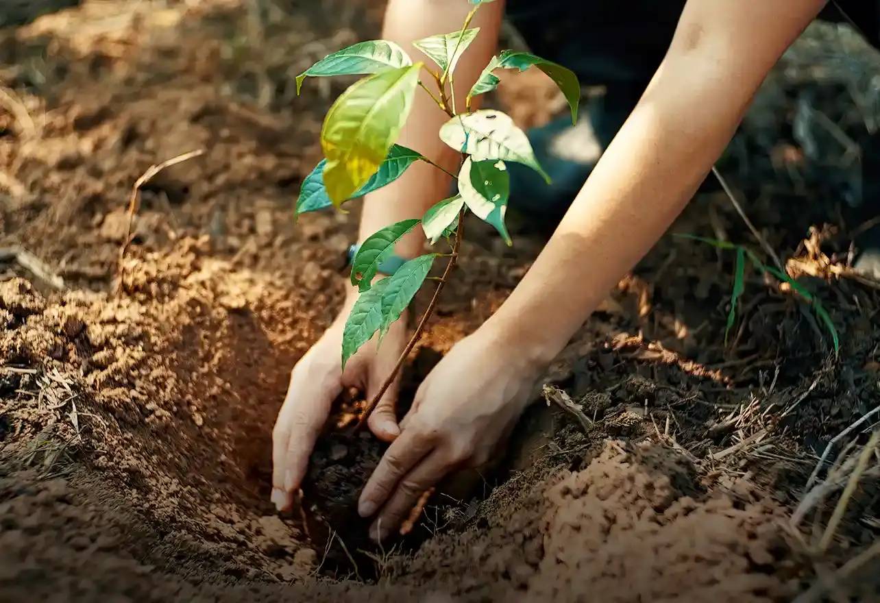 Femme avec outil de jardinage